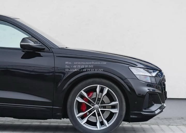 FB_IMG_1771372048409