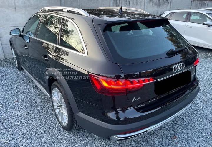 FB_IMG_1771373402652