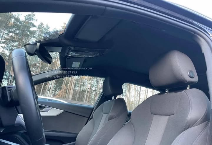 FB_IMG_1771373443521