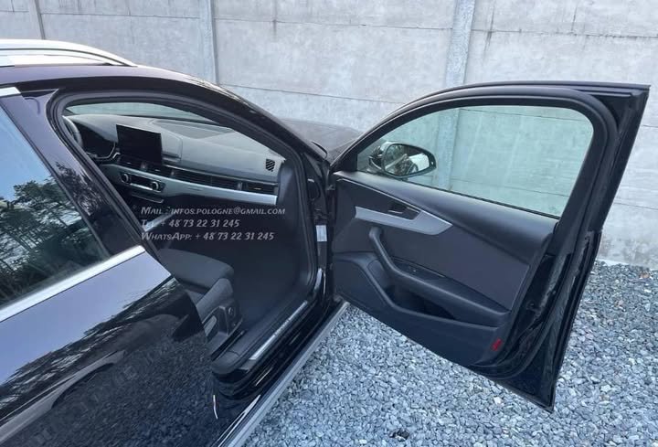 FB_IMG_1771373448641