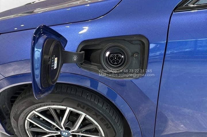 FB_IMG_1771373761310