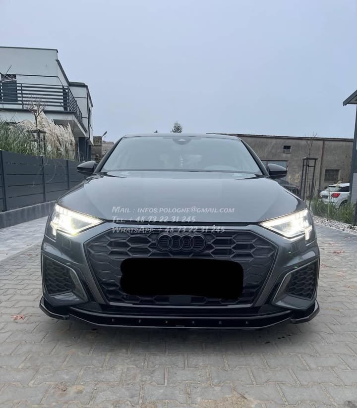 FB_IMG_1771376282728