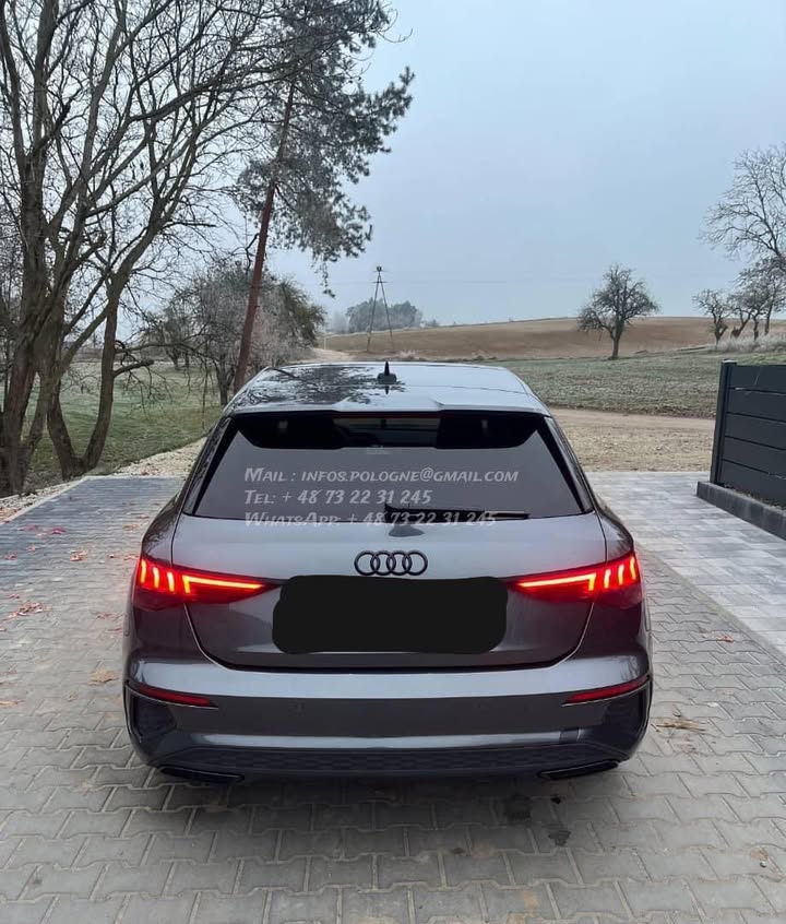 FB_IMG_1771376286839