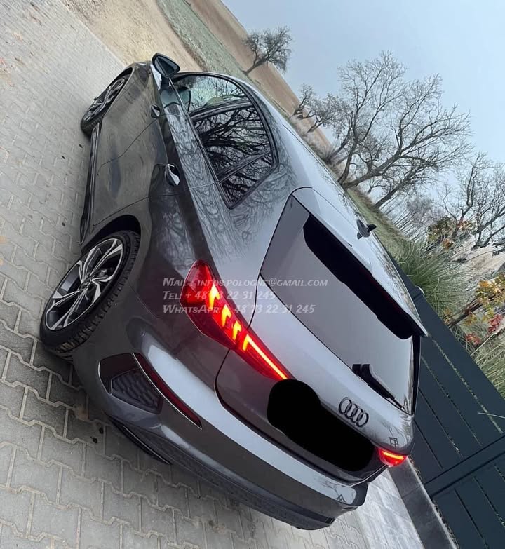 FB_IMG_1771376294619