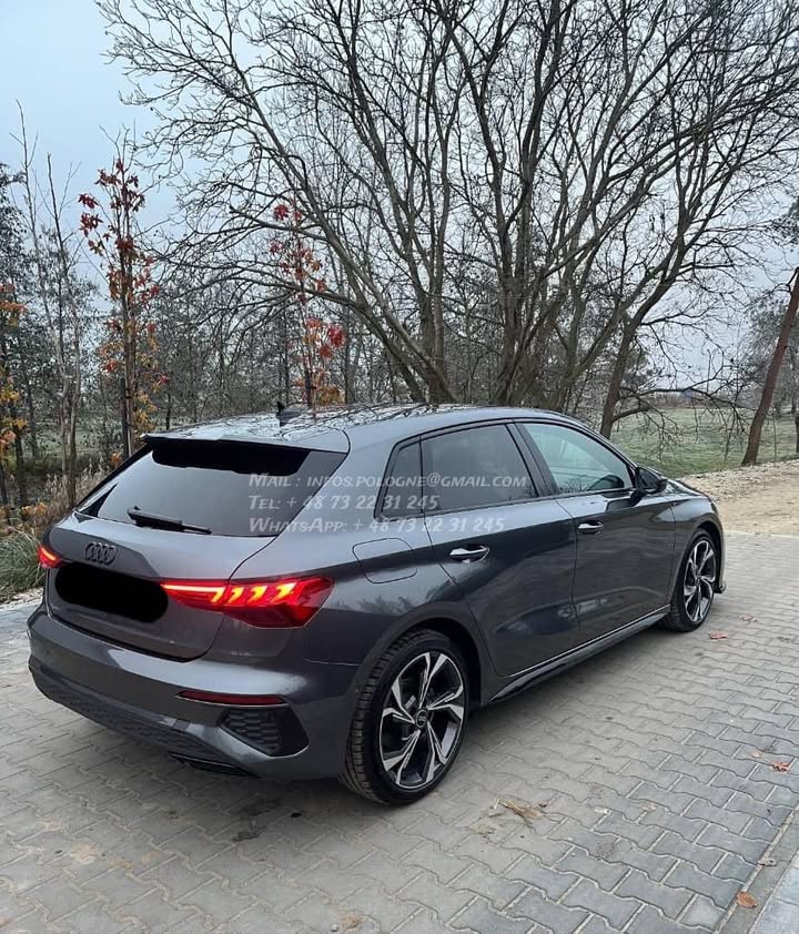 FB_IMG_1771376297782