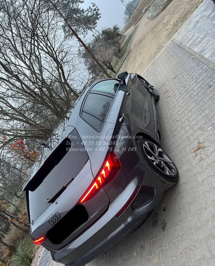 FB_IMG_1771376303794