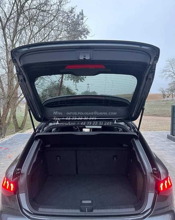 FB_IMG_1771376320082