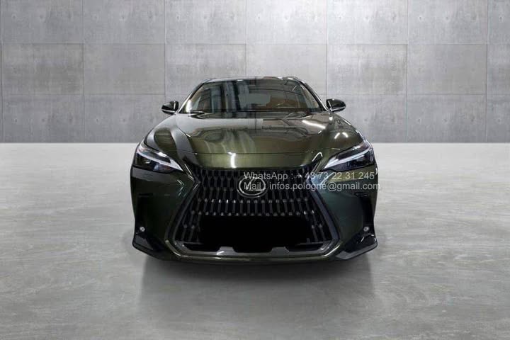 FB_IMG_1771462909372