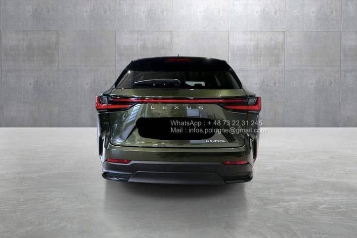 FB_IMG_1771462911454