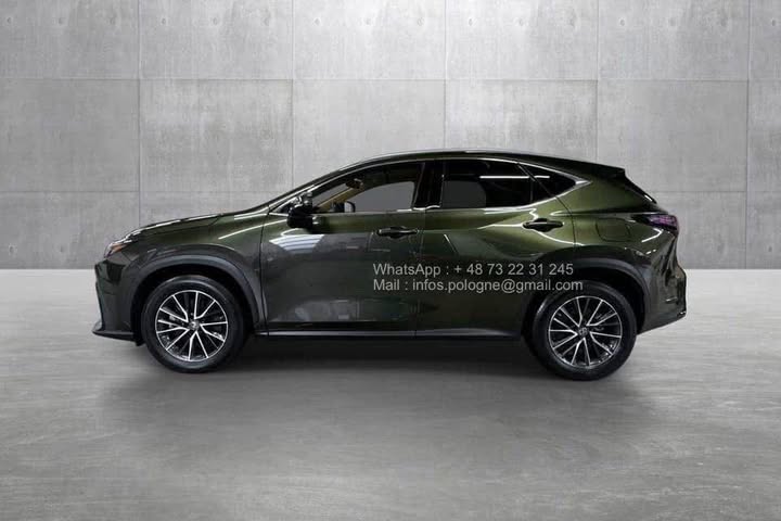 FB_IMG_1771462915841