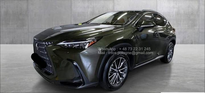 FB_IMG_1771462917777