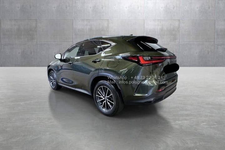 FB_IMG_1771462919697