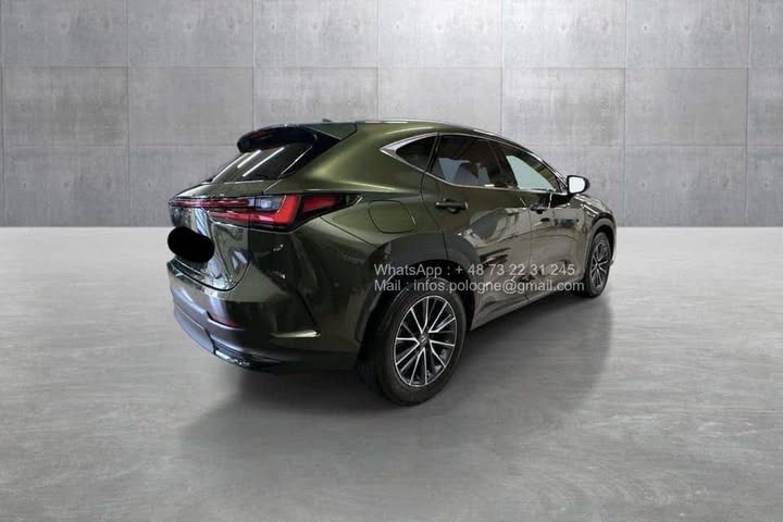 FB_IMG_1771462922477