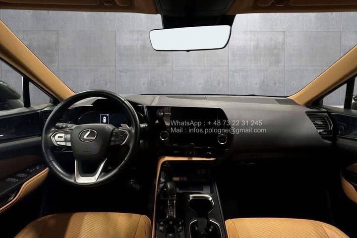 FB_IMG_1771462926235