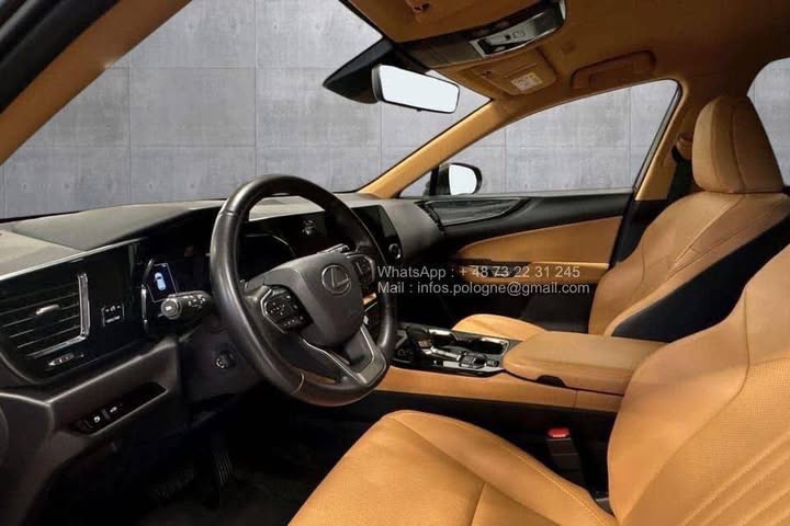 FB_IMG_1771462928141