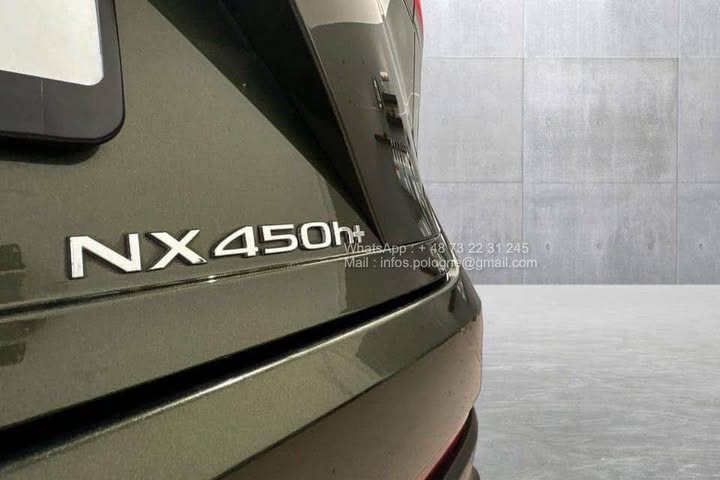 FB_IMG_1771462930987