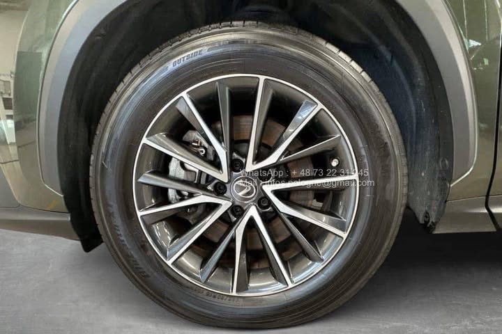 FB_IMG_1771462932926