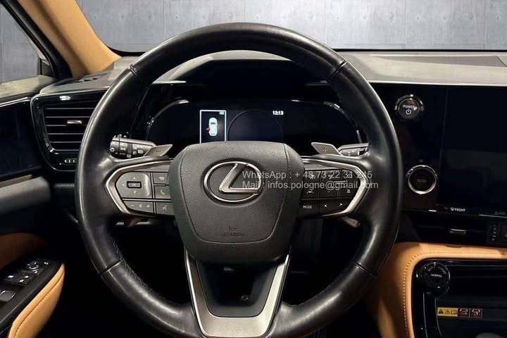 FB_IMG_1771462938879