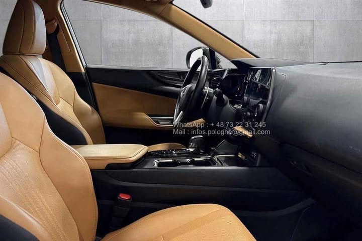 FB_IMG_1771462950533