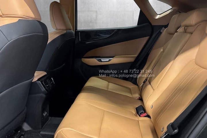 FB_IMG_1771462952440