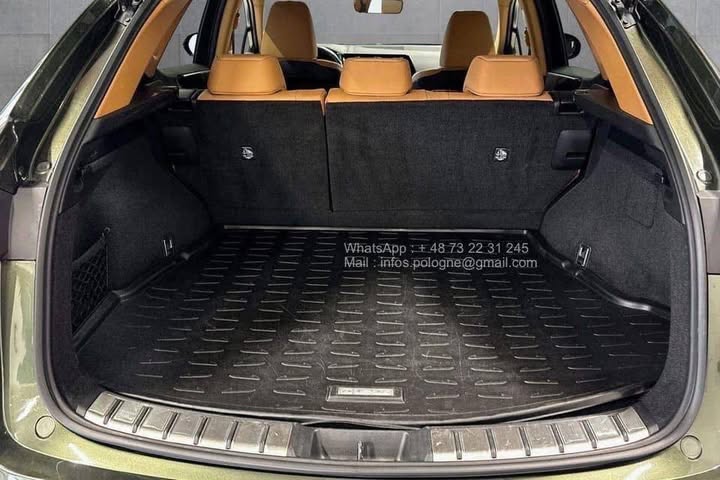 FB_IMG_1771462954381