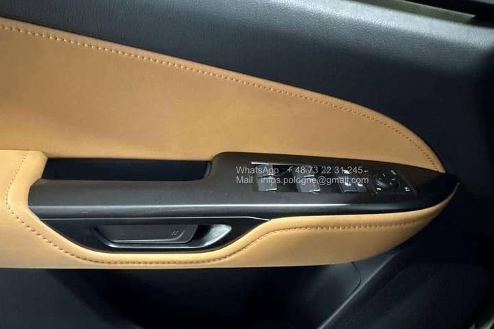 FB_IMG_1771462956339