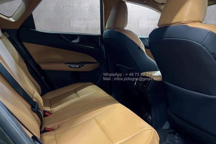 FB_IMG_1771462961033