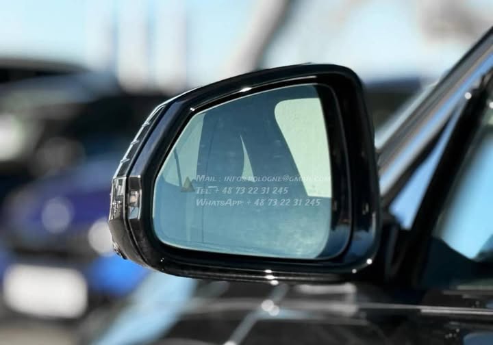 FB_IMG_1771463466114