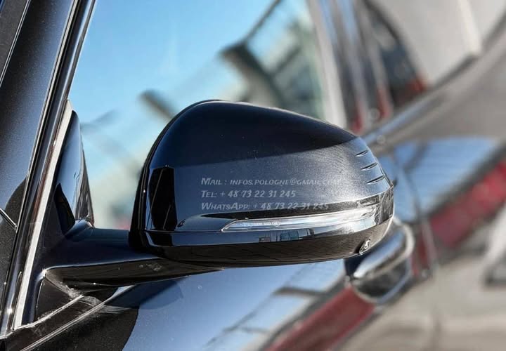 FB_IMG_1771463534006