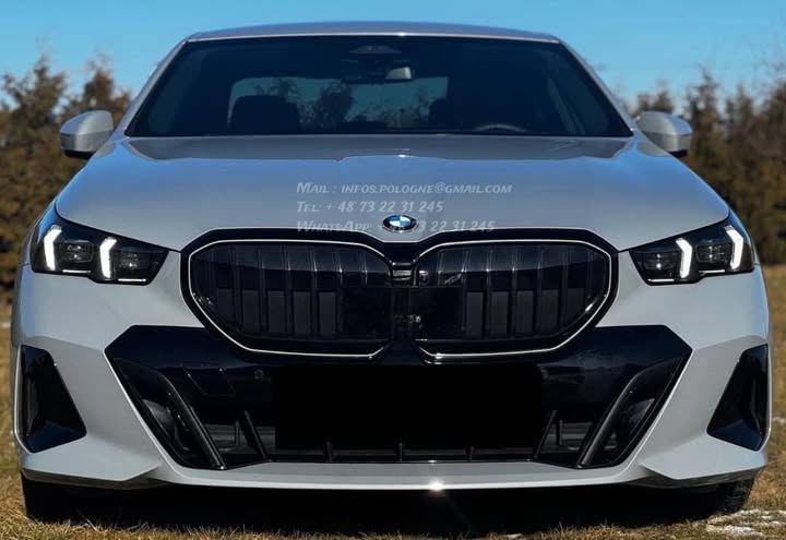 FB_IMG_1771463959535