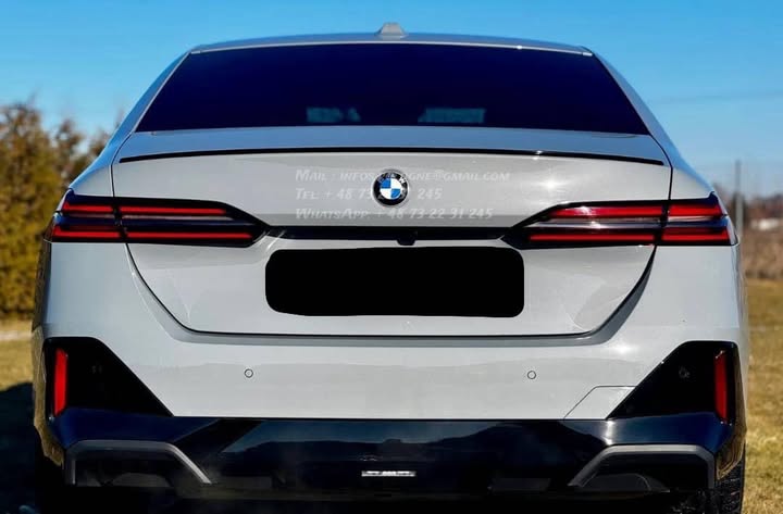 FB_IMG_1771463961746