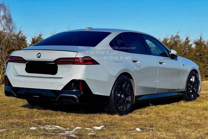 FB_IMG_1771463965858