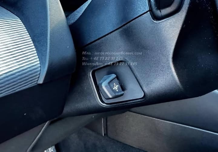 FB_IMG_1771464000475