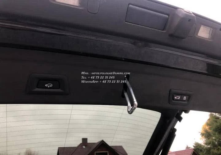 FB_IMG_1771464209910