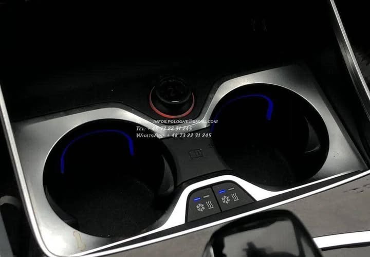 FB_IMG_1771464225214