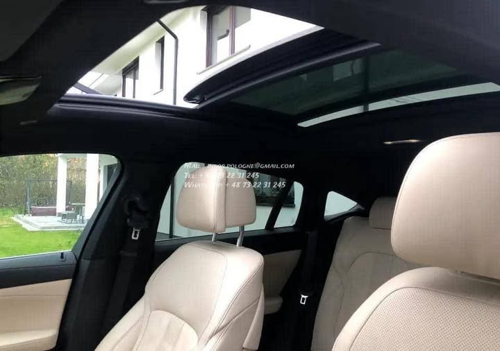 FB_IMG_1771464231497