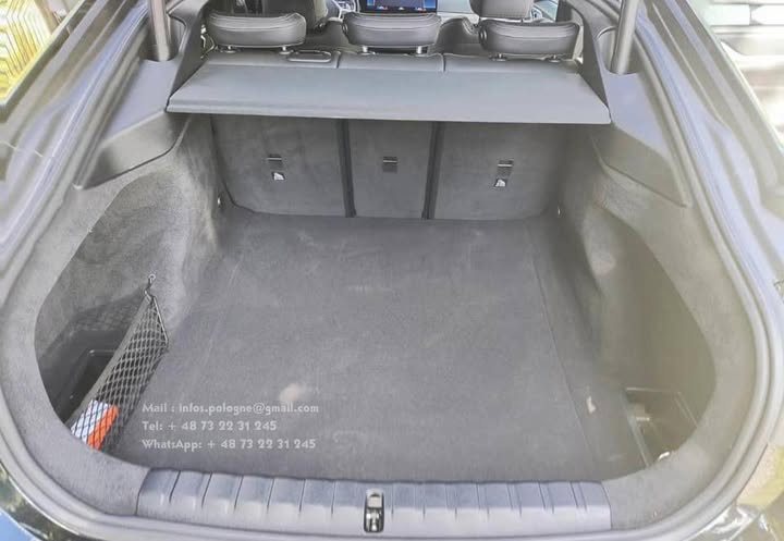 FB_IMG_1771466340302