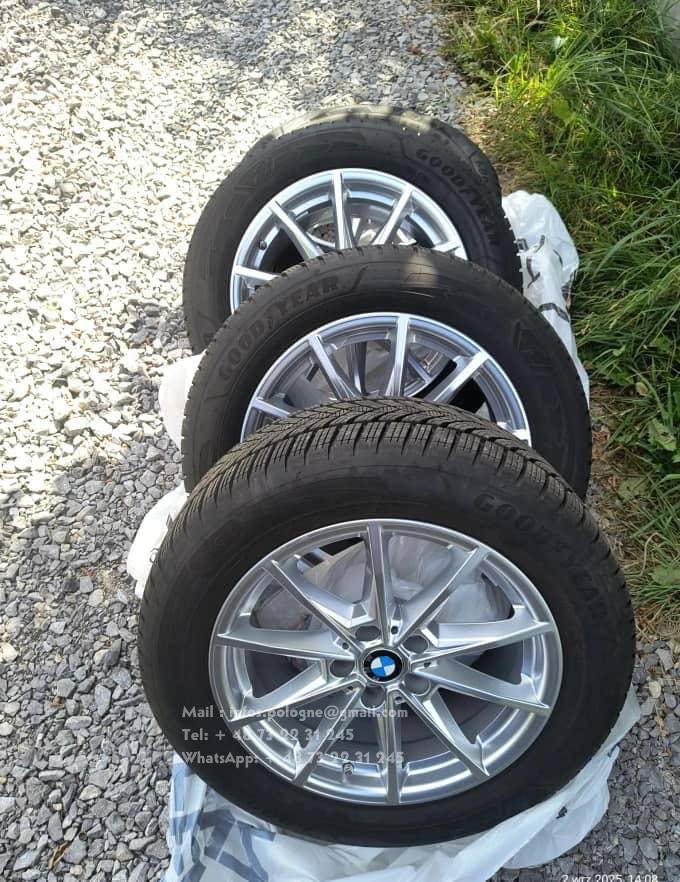 FB_IMG_1771466352641