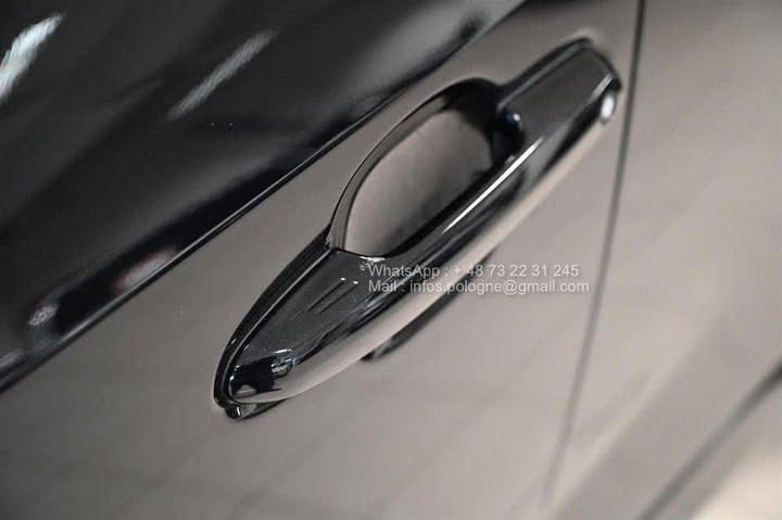 FB_IMG_1771466642388