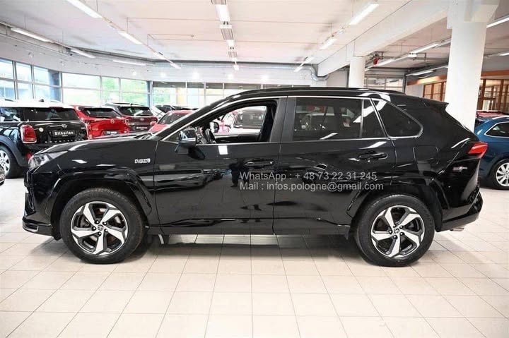 FB_IMG_1771466648746