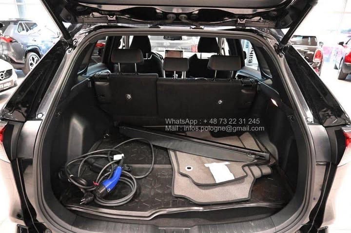 FB_IMG_1771466696569