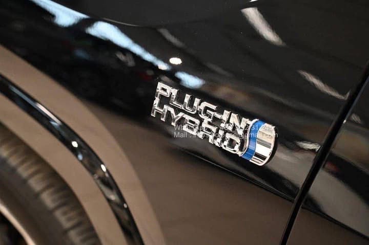 FB_IMG_1771466738743