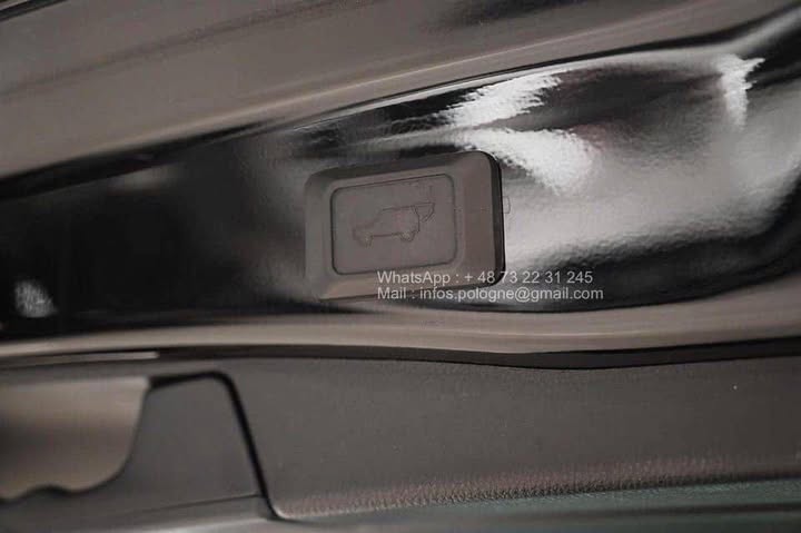 FB_IMG_1771466740798