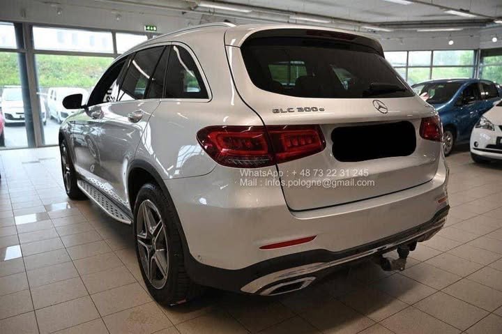 FB_IMG_1771545536537