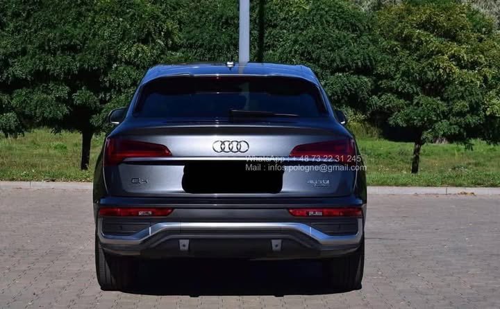 FB_IMG_1771546371568