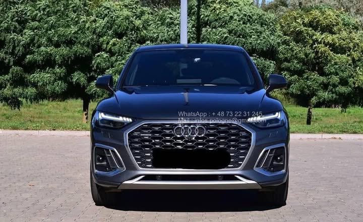 FB_IMG_1771546374428