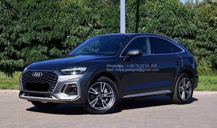 FB_IMG_1771546379044