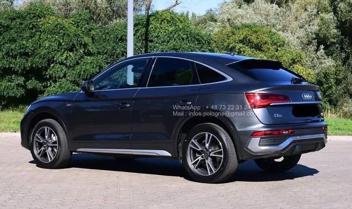 FB_IMG_1771546381048