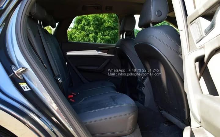 FB_IMG_1771546389870