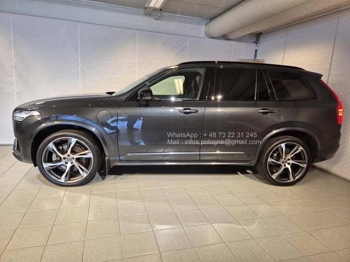 FB_IMG_1771548266153